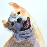 "Watercolor Dog Full, 4x6", Commission Painting" - Commissioned Original Painting in multicolorassorted-colors by Nate Abell