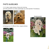 "Pet Portrait, 18 x 24 in, Painting Commission" - Commissioned Original Painting in multicolorassorted-colors by Ashley Myers