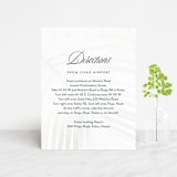 "Palm Layers" - Direction Cards in Palm Frond by Jill Means - Front