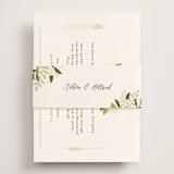 "Ribbonly" - Direction Cards in Blush by Jennifer Wick - Assembled with Belly Band