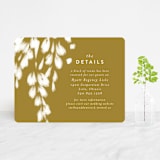 "spring dream" - Direction Cards in Onyx by Angela Marzuki - Front