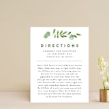 "Leaf Arc" - Direction Cards in Sage by Ariel Rutland - Front