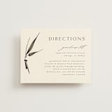 "Bambusa" - Direction Cards in Almond by Anastasia Makarova - Front