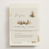"Vista" - Direction Cards in Fallen Snow by Robin Ott - Assembled with Belly Band