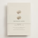 "Simple Seashell" - Direction Cards in Sand by Hannah Bowman - Assembled with Belly Band