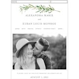 "Simple Sprigs" - Wedding Website in Fern by Erin Deegan - Guest Management