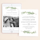 "Simple Sprigs" - Wedding Website in Fern by Erin Deegan - Match Your Stationery