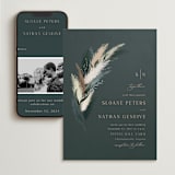 "Arched Pampas" - Wedding Website in Basil by Kaydi Bishop - Match Your Stationery