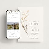 "Perennial" - Wedding Website in Cotton by Amy Kross - Match Your Stationery
