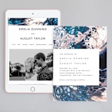 "swirl" - Wedding Website in Celestial by Alethea and Ruth - Match Your Stationery