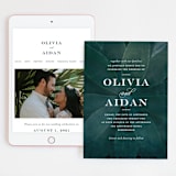 "Succulent Center" - Wedding Website in Cactus by Jessica Williams - Match Your Stationery