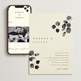 "Silver Dollar Eucalyptus" - Wedding Website in Ivory by Shannon Chen of Four Wet Feet Studio - Match Your Stationery