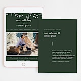 "A Dash of Delight" - Wedding Website in Pine Needle by Bramble Studio - Match Your Stationery