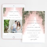 "veil sweet" - Wedding Website in Blush by Cass Imagines - Match Your Stationery