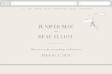 "Juniper" - Wedding Website in Blush by Mere Paper - Desktop Design