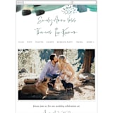 "Feathery Painted" - Wedding Website in Teal by Erika Firm - Guest Management
