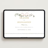 "Ribbonly Frame" - Wedding Website in Blush by Itsy Belle Studio - Desktop Design