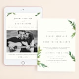 "Simple Pine Branches" - Wedding Website in Vanilla by Mere Paper - Match Your Stationery