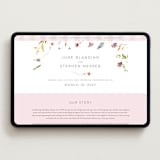 "Untied" - Wedding Website in Sherbert by Erin Hodges - Desktop Design