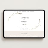 "Vine Wrap" - Wedding Website in Cotton by Amy Kross - Desktop Design