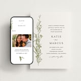 "Gathered" - Wedding Website in Pistachio by Susan Moyal - Match Your Stationery