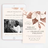 "The Land of Magnolias" - Wedding Website in Blush by Design Lotus - Match Your Stationery