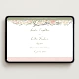 "Charlotte" - Wedding Website in Petal by Jenna Holcomb - Desktop Design