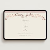 "Queen Anne's Lace" - Wedding Website in Creme Brulee by Jennifer Wick - Desktop Design