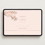 "mon amour" - Wedding Website in Sweet Blush by Design Lotus - Desktop Design