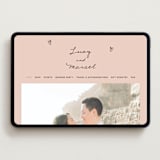"Ballpoint Suite" - Wedding Website in Blush by Ani Somi - Desktop Design