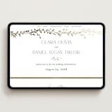 "Delicate Vine" - Wedding Website in Alabaster by Susan Moyal - Desktop Design