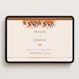 "Wedding in Aspen" - Wedding Website in Rust by Chris Griffith - Desktop Design