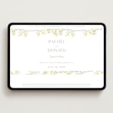 "butter blossoms" - Wedding Website in Sun by Phrosné Barwood - Desktop Design