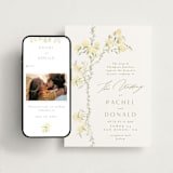 "butter blossoms" - Wedding Website in Sun by Phrosné Barwood - Match Your Stationery