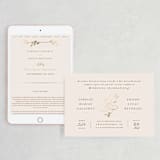 "Botanical Ampersand" - Wedding Website in Peony by Hooray Creative - Match Your Stationery