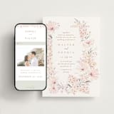 "kosmos" - Wedding Website in Cotton Candy by Phrosné Barwood - Match Your Stationery