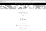 "This and That" - Wedding Website in Diamond by Jessica Corliss - Desktop Design