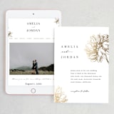 "Sophisticated" - Wedding Website in Mist by Kelly Schmidt - Match Your Stationery