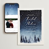 "Let it Snow" - Wedding Website in Celestial by Anastasia Makarova - Match Your Stationery