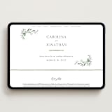 "Carolina" - Wedding Website in Meadow by Melanie Kosuge - Desktop Design
