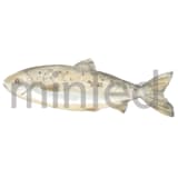 "fish" - Design Element in Fog by Petra Kern - Design Element