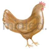 "Chicken" - Design Element in Leather by Petra Kern - Design Element