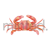 "Crab" - Design Element in Poppy by Elly - Design Element