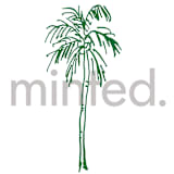 "Palm Tree" - Design Element in Palm by Cass Loh - Design Element