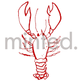 "Lobster" - Design Element in Poppy by Cass Loh - Design Element