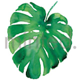 "Monstera" - Design Element in Palm by Jenna Holcomb - Design Element