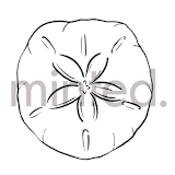 "Sand Dollar" - Design Element in Shell by Shiny Penny Studio - Design Element