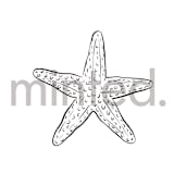 "Starfish" - Design Element in Shell by Shiny Penny Studio - Design Element