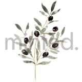 "Olive Branch" - Design Element in white by Itsy Belle Studio - Design Element