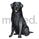 "Black Labrador" - Design Element in white by Sarah Knight - Design Element